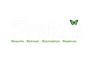 My Website